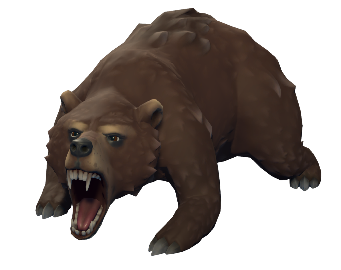 Bear