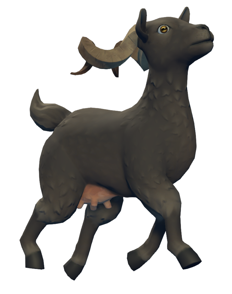 Goat-swimming