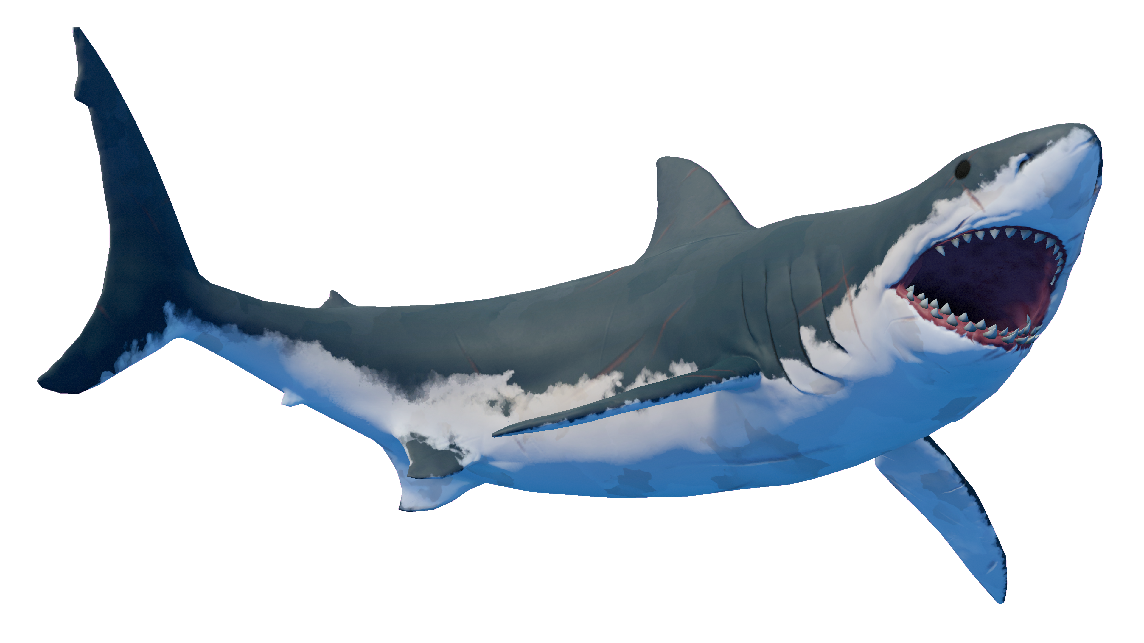 Shark1