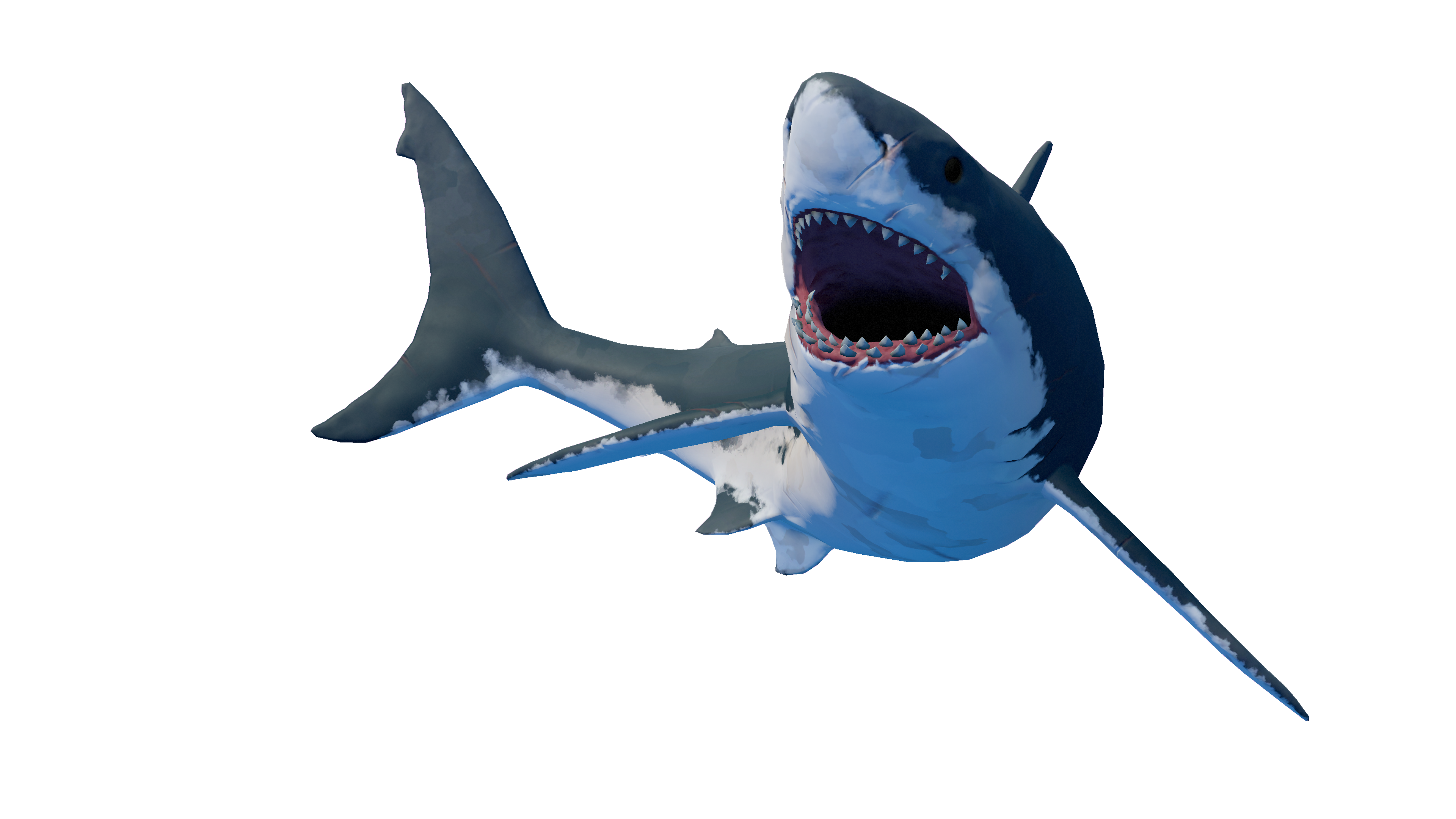 Shark_2