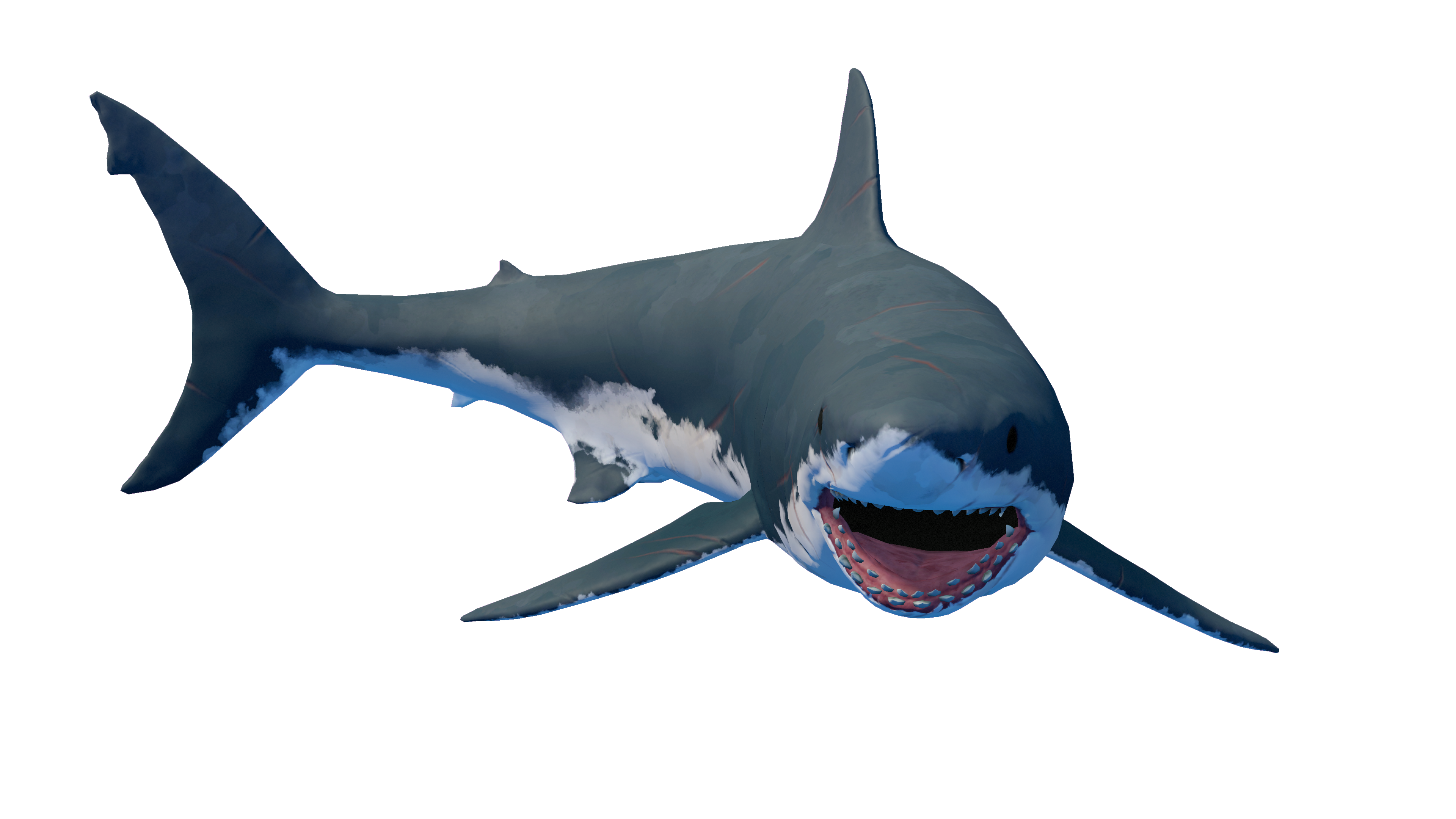 Shark_3